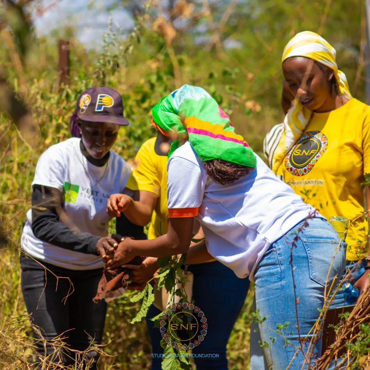 Climate Action & Sustainability