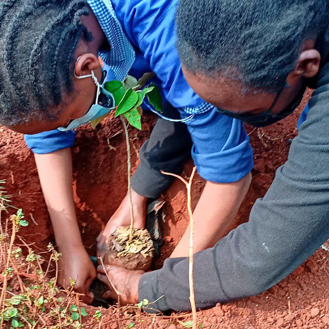 Climate Action & Sustainability